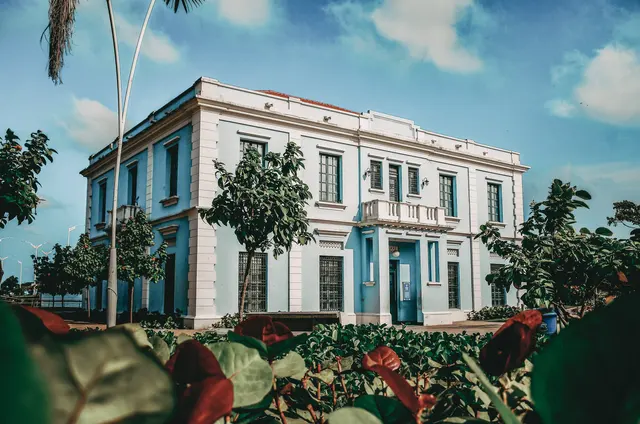 Fachada de una casa patrimonial con plantas en primer plano