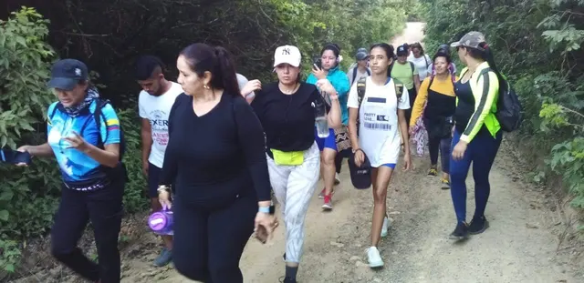 Caminata de viajeros por un sendero en el bosque