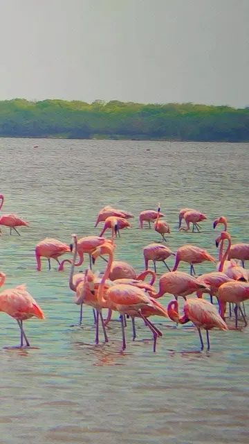 Agua, senderos, aves y paisajes naturales