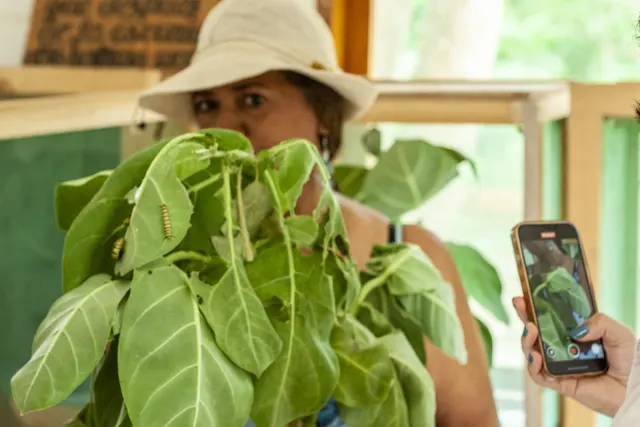 Encuentro con plantas y aromas en un espacio natural