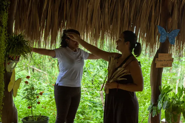 Mujeres compartiendo un encuentro guiado entre plantas y palmas