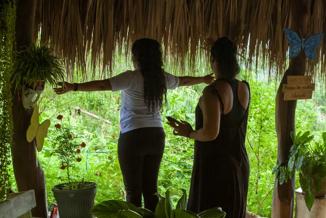 Mujeres compartiendo un encuentro guiado entre plantas y palmas