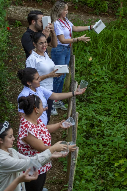 Viajeras con cuadernos durante un encuentro creativo en la naturaleza
