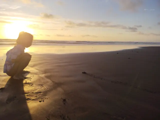 Playa El Almejal, Chocó: liberación de tortugas