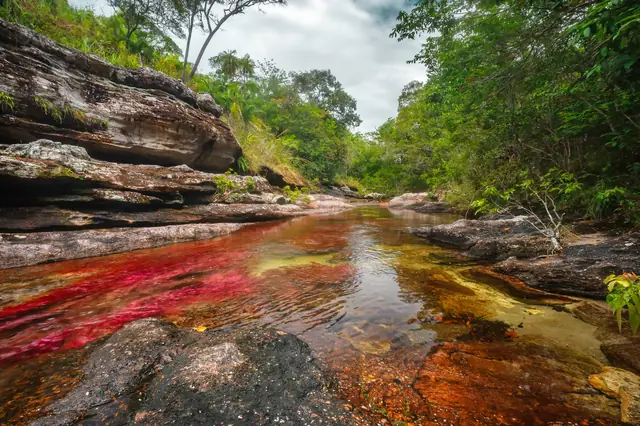 Caño Cristales, La Macarena, Meta