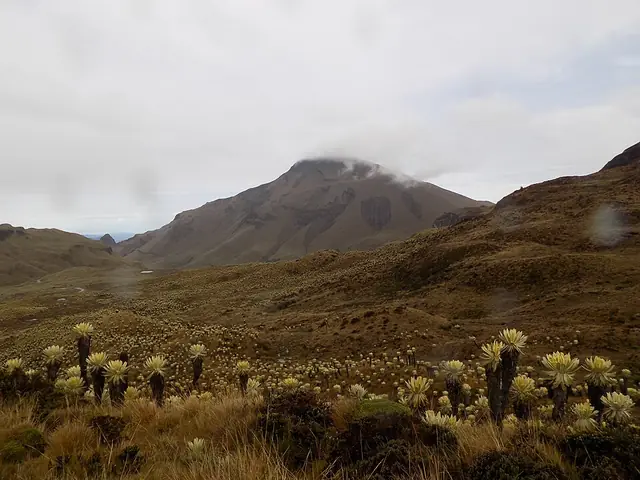 Páramo Chiles–Cumbal, Nariño