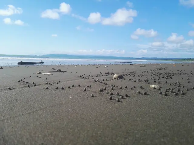 Playa de Nuquí, Chocó