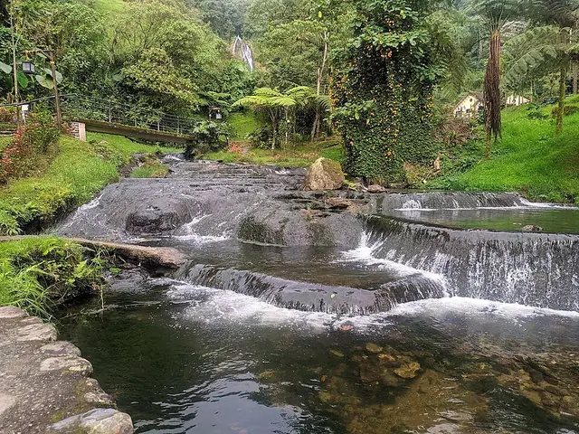 Agua y naturaleza en Termales San Vicente